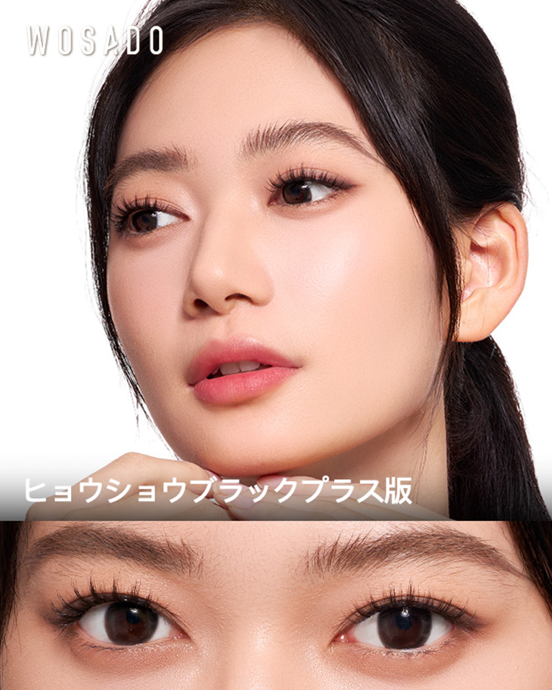 NO.17+ヒョウショウブラック プラス版